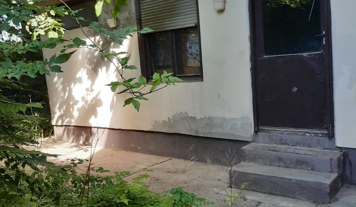 Polgárdi 1 (11)