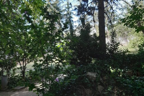 Polgárdi 1 (12)