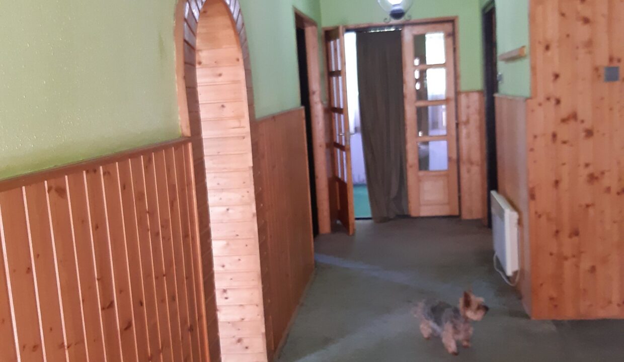 Polgárdi 1 (6)