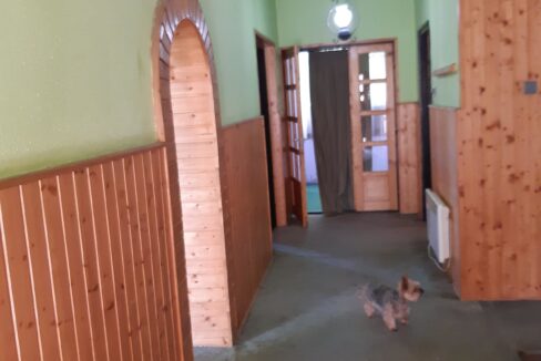 Polgárdi 1 (6)