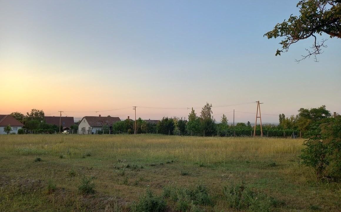 Sárszentmihály 1 (5)