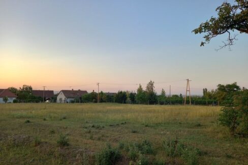 Sárszentmihály 1 (5)