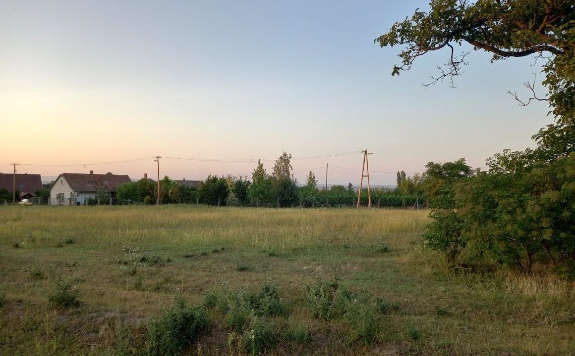 Sárszentmihály 1 (6)
