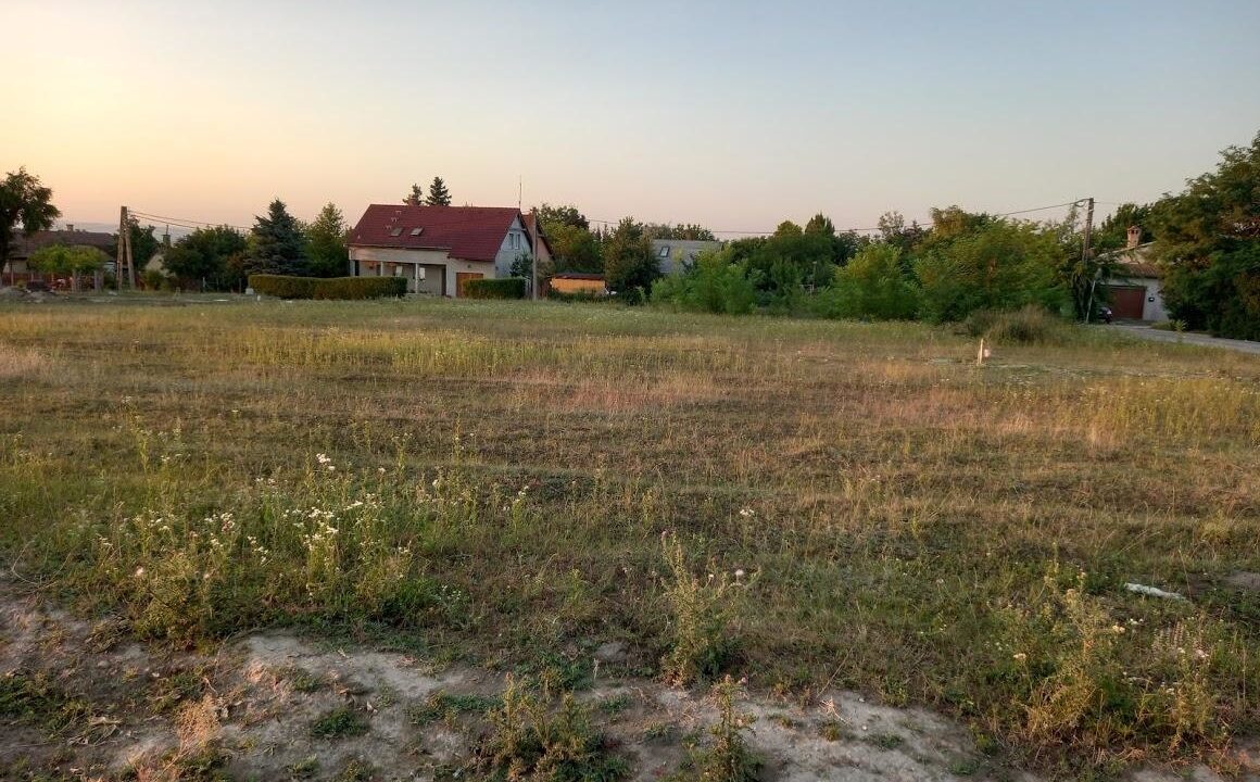 Sárszentmihály 1 (8)