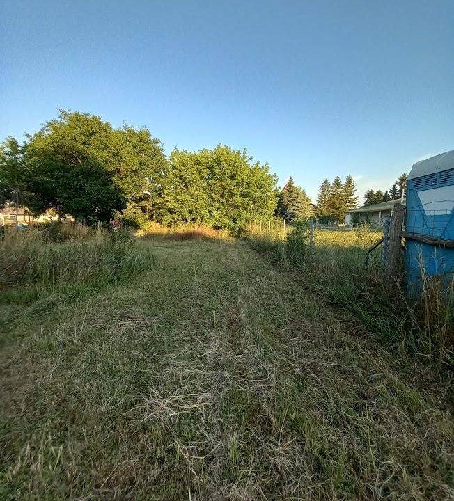 Sárszentmihály (2)