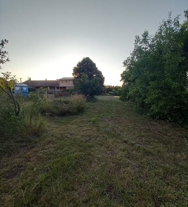 Sárszentmihály (4)