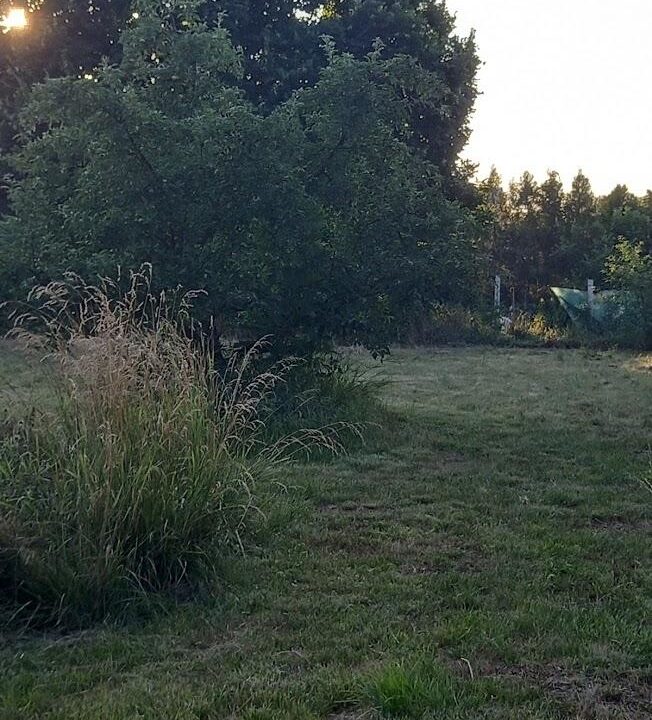 Sárszentmihály (5)